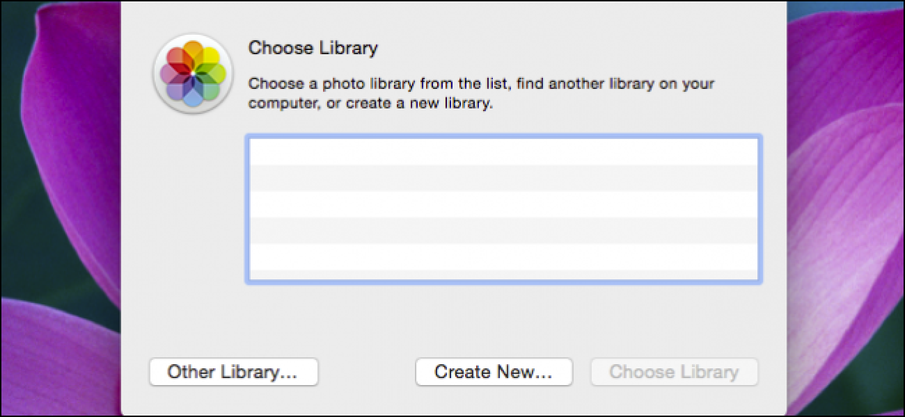 Comment déplacer votre bibliothèque de photos Apple vers un autre emplacement