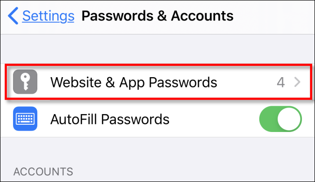 Appuyez sur Mots de passe de site Web et d'application dans les paramètres de l'iPhone