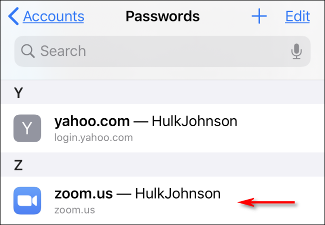 Appuyez sur un nom de compte pour voir un mot de passe Safari enregistré dans Paramètres sur iPhone
