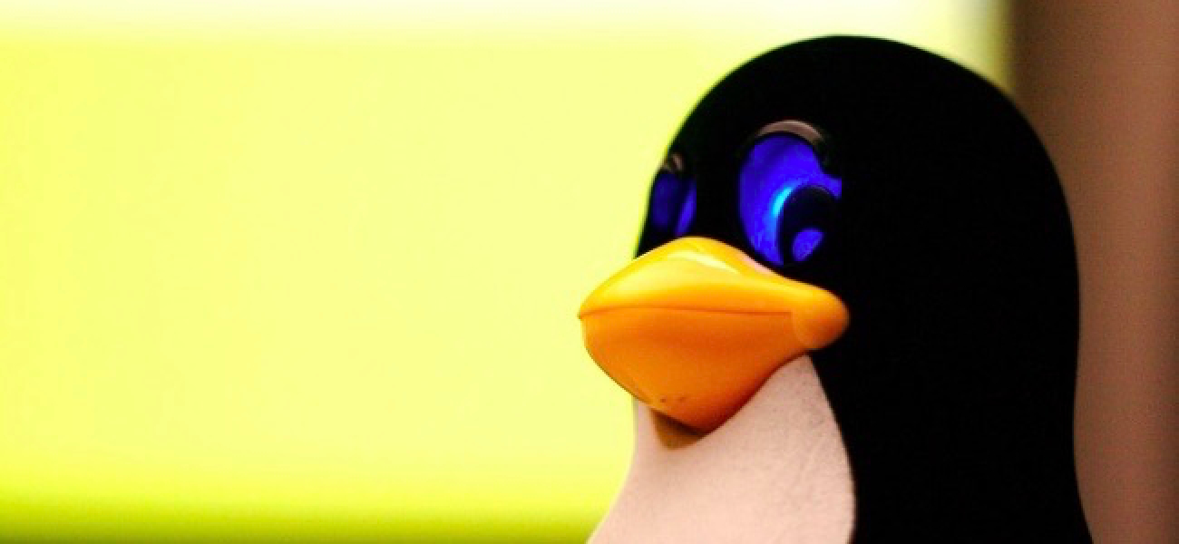 Tout ce que vous devez savoir pour regarder des médias DRM sur Linux
