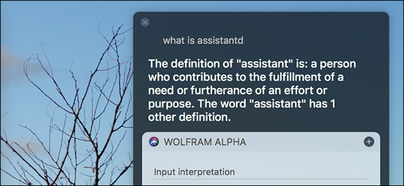 Que sont assistant_service et assistantd, et pourquoi fonctionnent-ils sur mon Mac?