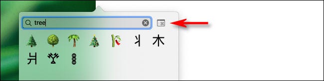 appuie sur le "visionneuse de caractères" bouton dans la fenêtre emoji sur Mac.