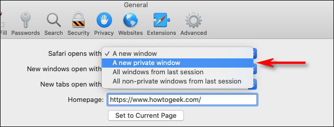 Sélectionnez Une nouvelle fenêtre privée dans le menu déroulant de Safari pour Mac