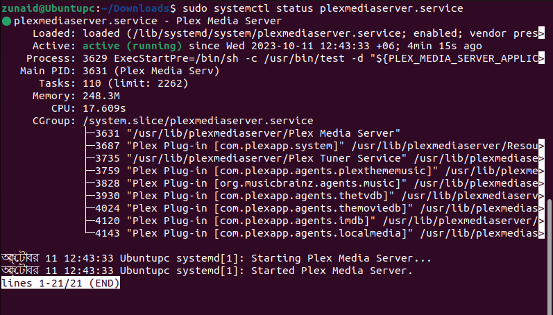 Terminal Linux affichant l'état actuel du Plex Media Server