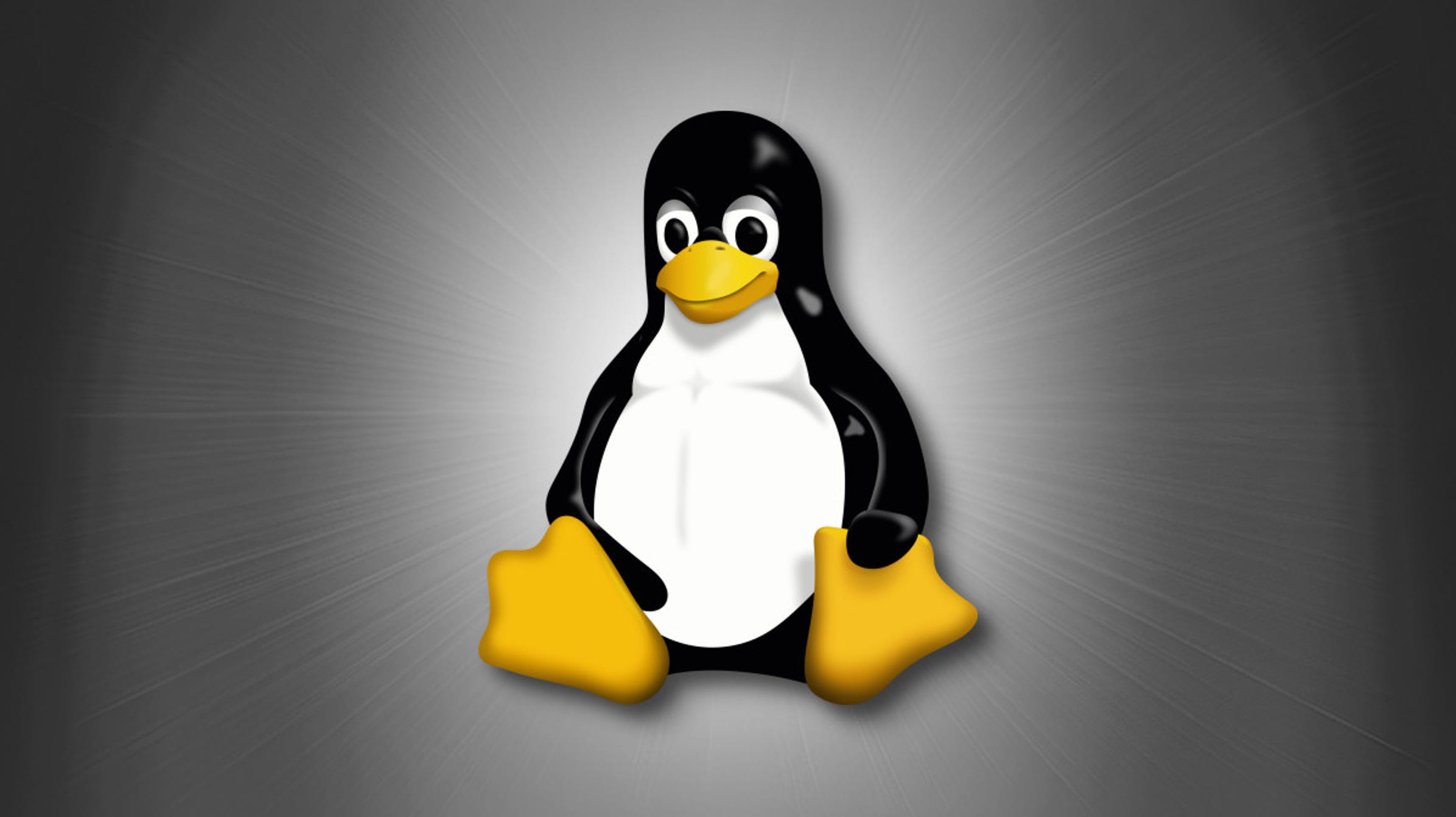 Quels sont les inconvénients du passage à Linux ?