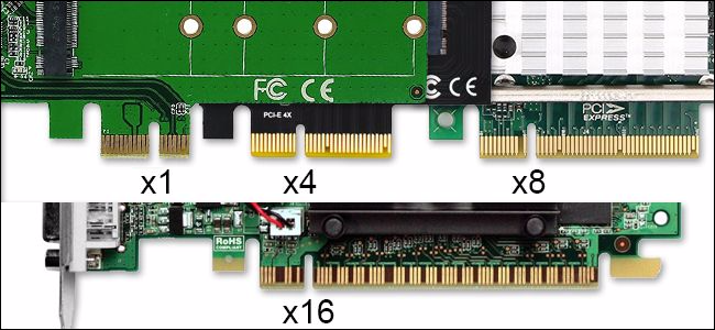 Les différentes tailles de cartes PCIe, y compris x1, x4, x8 et x16.